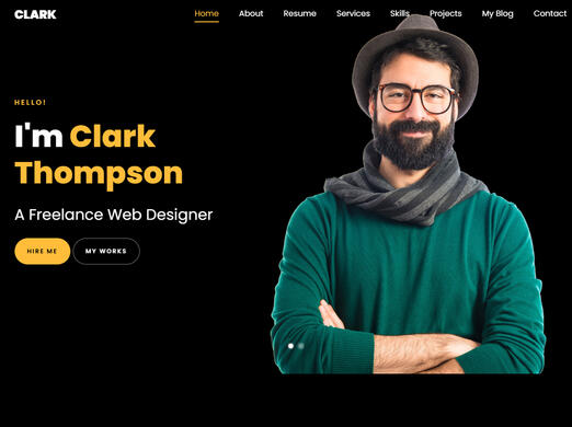 Freelancer Web designer